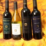 sydney photography, digital photographer